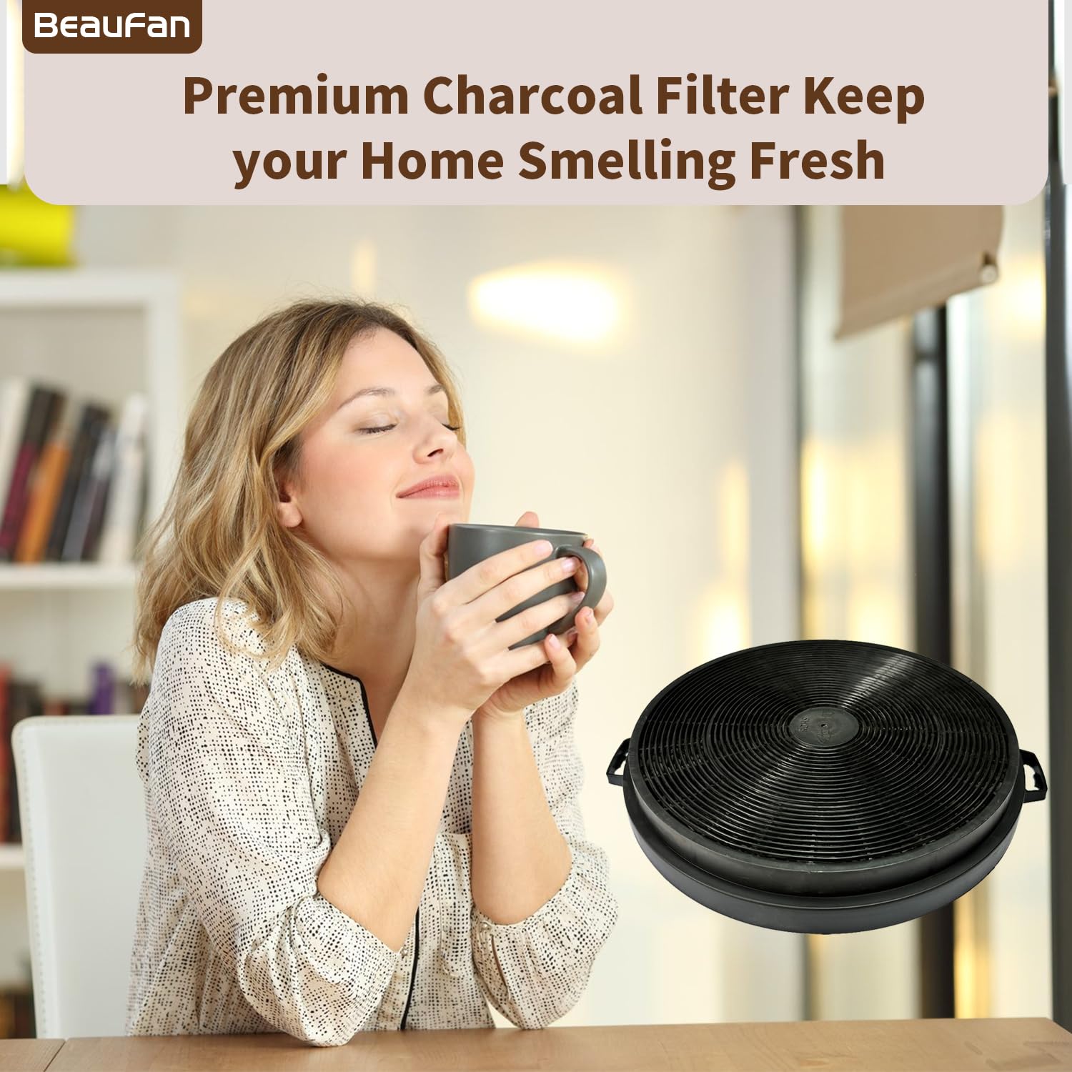 Amazon.com: 2 Pack CFI010 Charcoal Filters Fit MCBON IE71-BLACK
