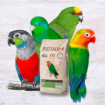 Psittacus Minor 1 lb | Complete Pellet Diet for Lovebirds, Parrotlets and Green Cheeks | Premium Food for Birds, 100% no-GMO