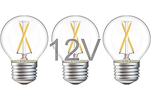 Brighter Today: Illuminate Your Landscapes with 12 Volt Low Voltage LED Light Bulbs