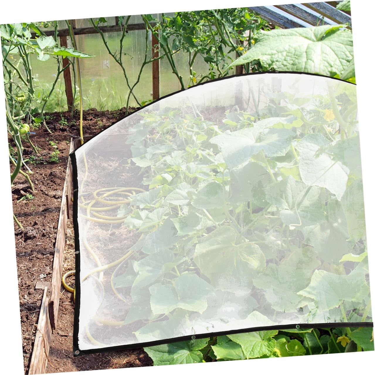 Toyvian 3 X 3 M Thickened Greenhouse Rainproof Film, Anti-Aging Gardening Protective Cover for Cold Weather, Water-Resistant Plastic Sheeting for Greenhouse Insulation and Plant Shelter