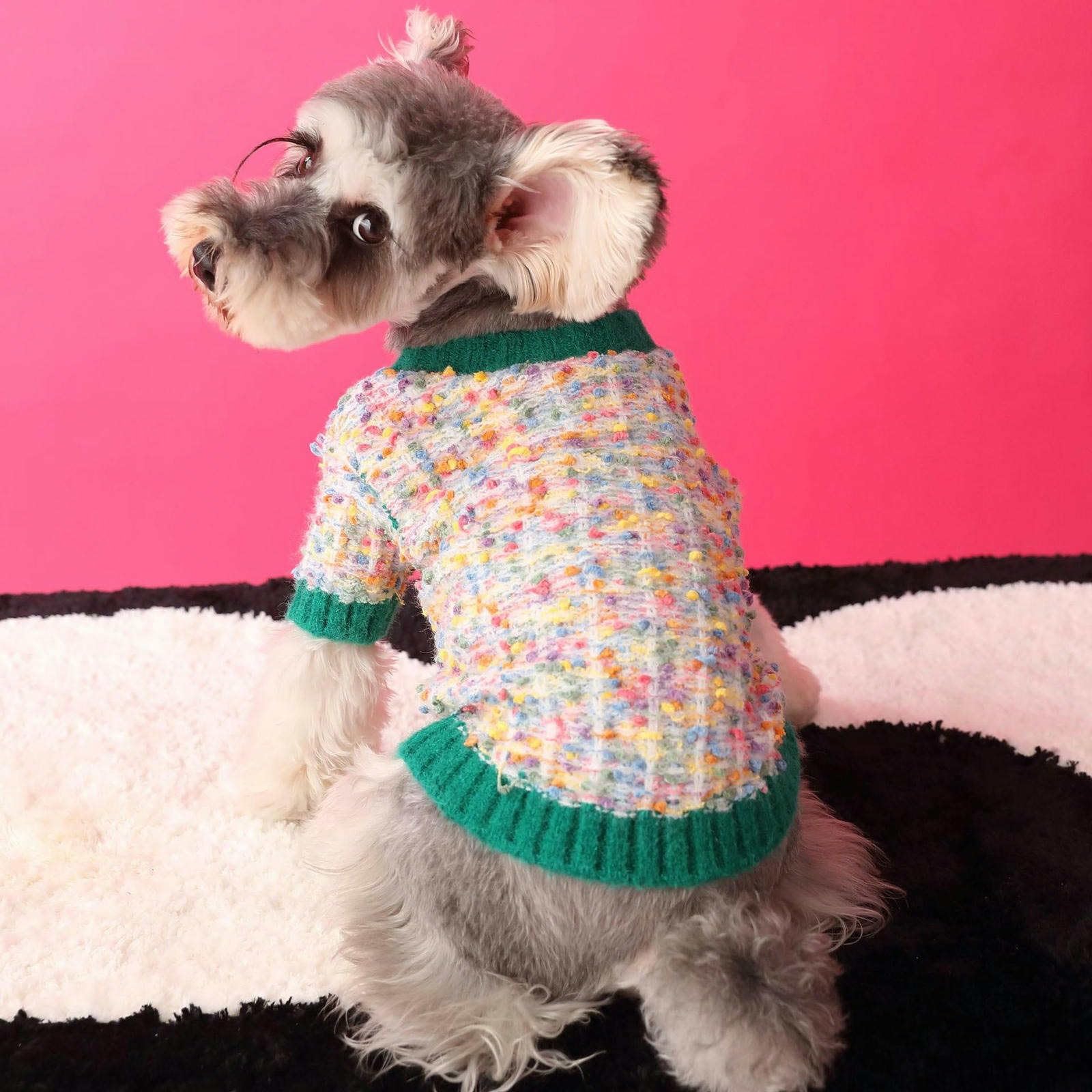 Pulls pour Petits Chiens Filles garçons élégant Luxe Chiot Pull Chaud Tricot Chien noël Pull Automne Hiver Chien Manteau Animal Pull