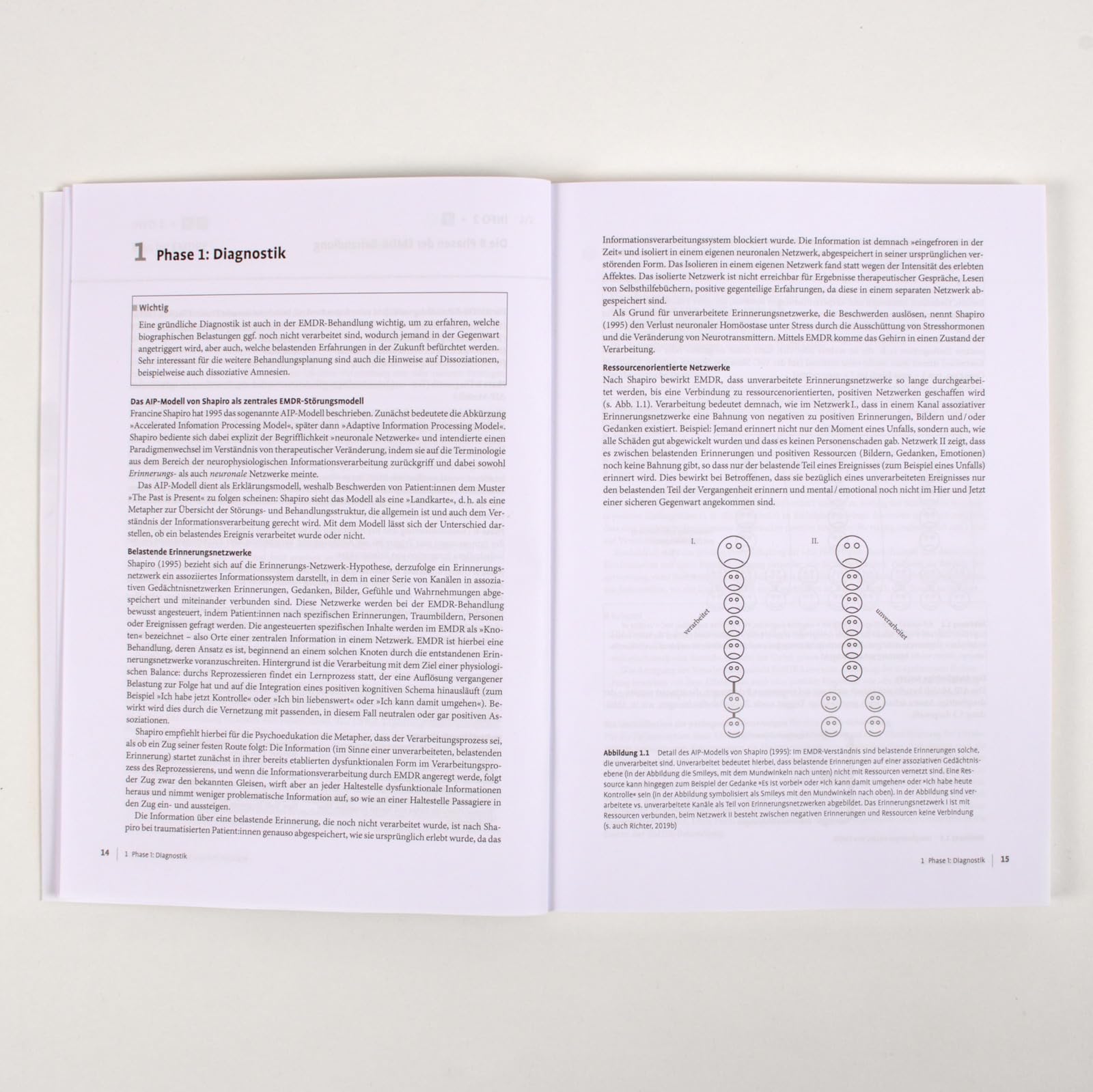 Therapie-Tools EMDR: Mit E-Book inside und Arbeitsmaterial