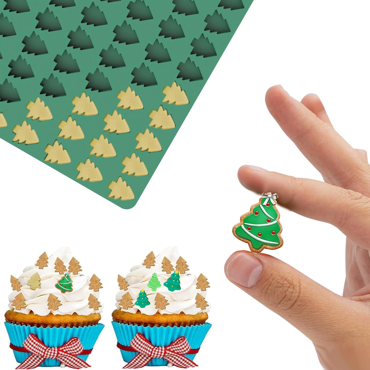 View 4