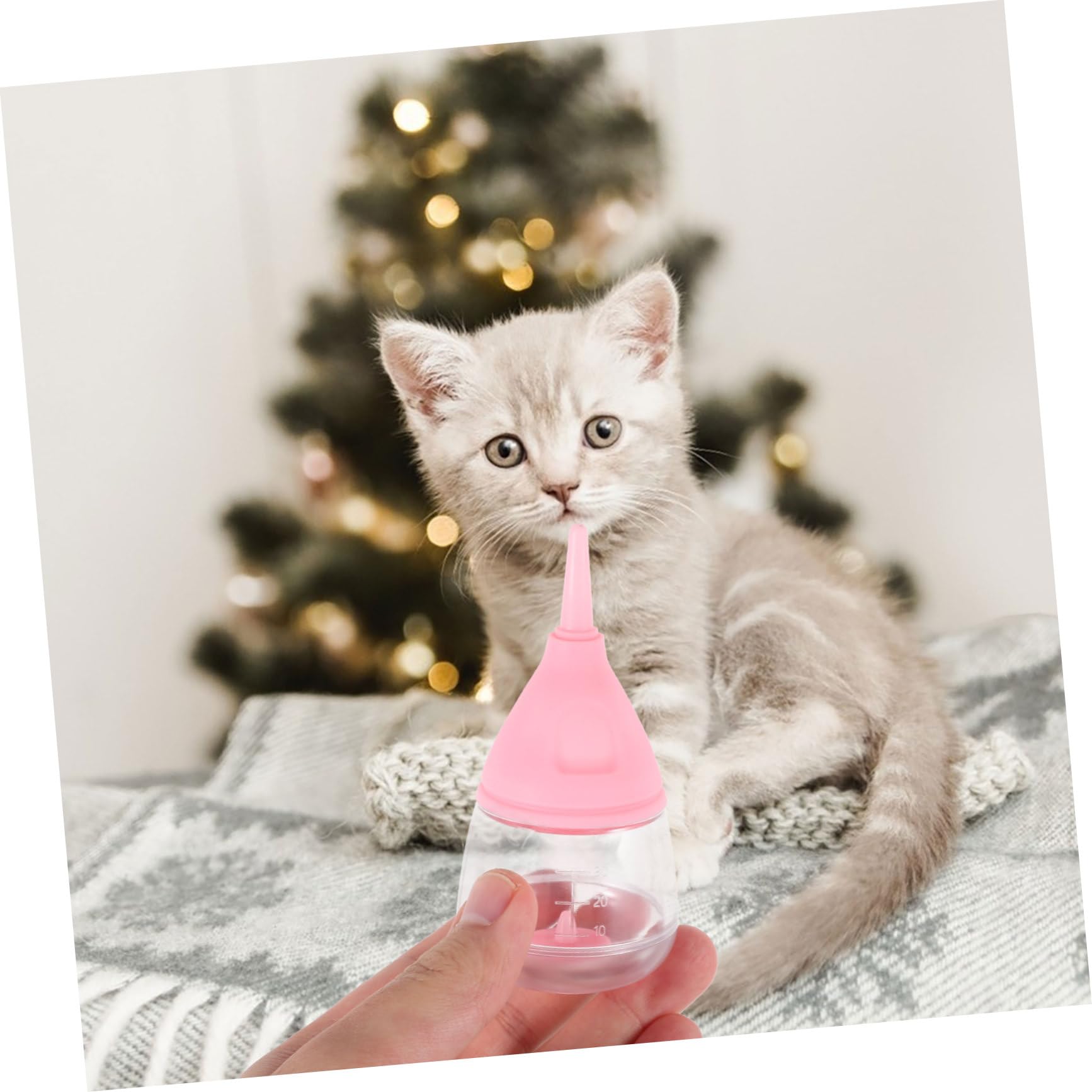 Sosoport 3pezzi Bottiglia per Allattamento per Cuccioli e Gattini Kit con Valvola Antiusura capacità Ottimale per Prevenire Sovralimentazione Materiale Sicuro e Leggero Facile da Pulire e