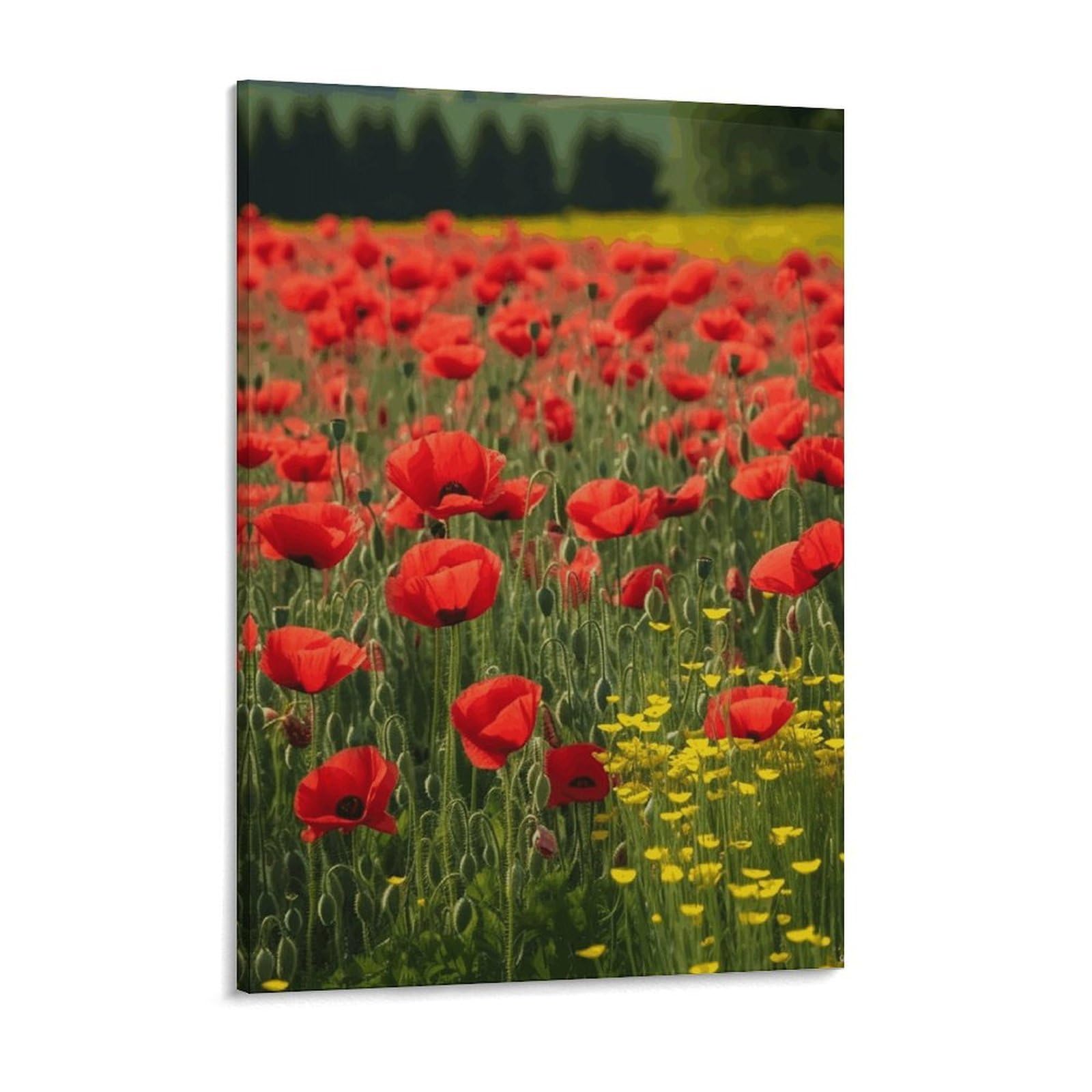 Red Poppy Field Farm Meadow Landscape Canvas Wall Art for Bedroom 12x16inch Canvas Prints Artwork for Walls Modern Picture Artwork Painting for Living Room Aesthetic Wall Paintings for Bathro