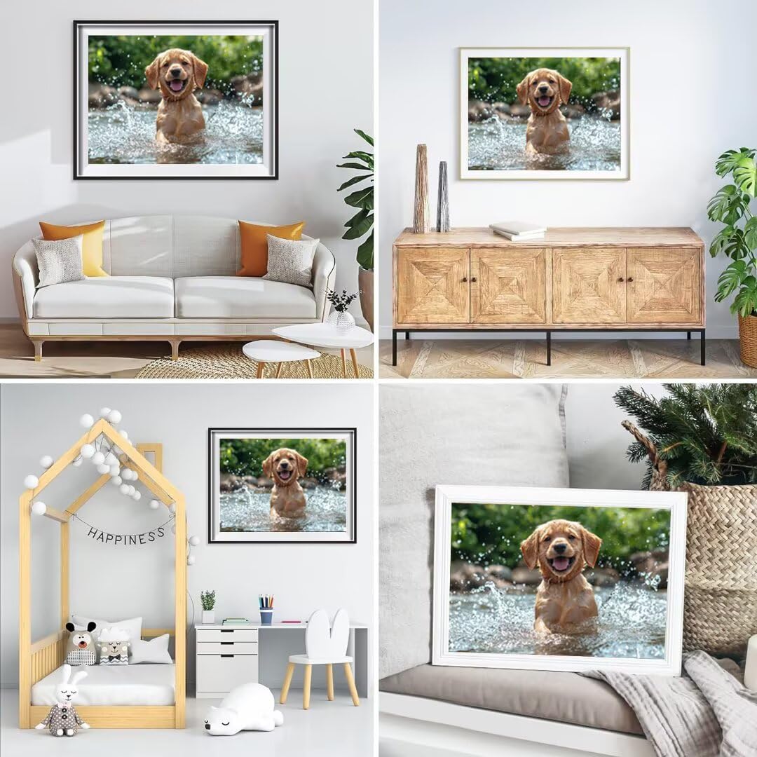 5D Pies Diament Malarstwo Zestaw dla Dorosłych, DIY Zestawy do Malowania Krajobraz Diament, Pełne zestawy artystyczne, Square Rhinestone Ścieg krzyżykowy Malarstwo dla dorosłych Początkujący Wystrój