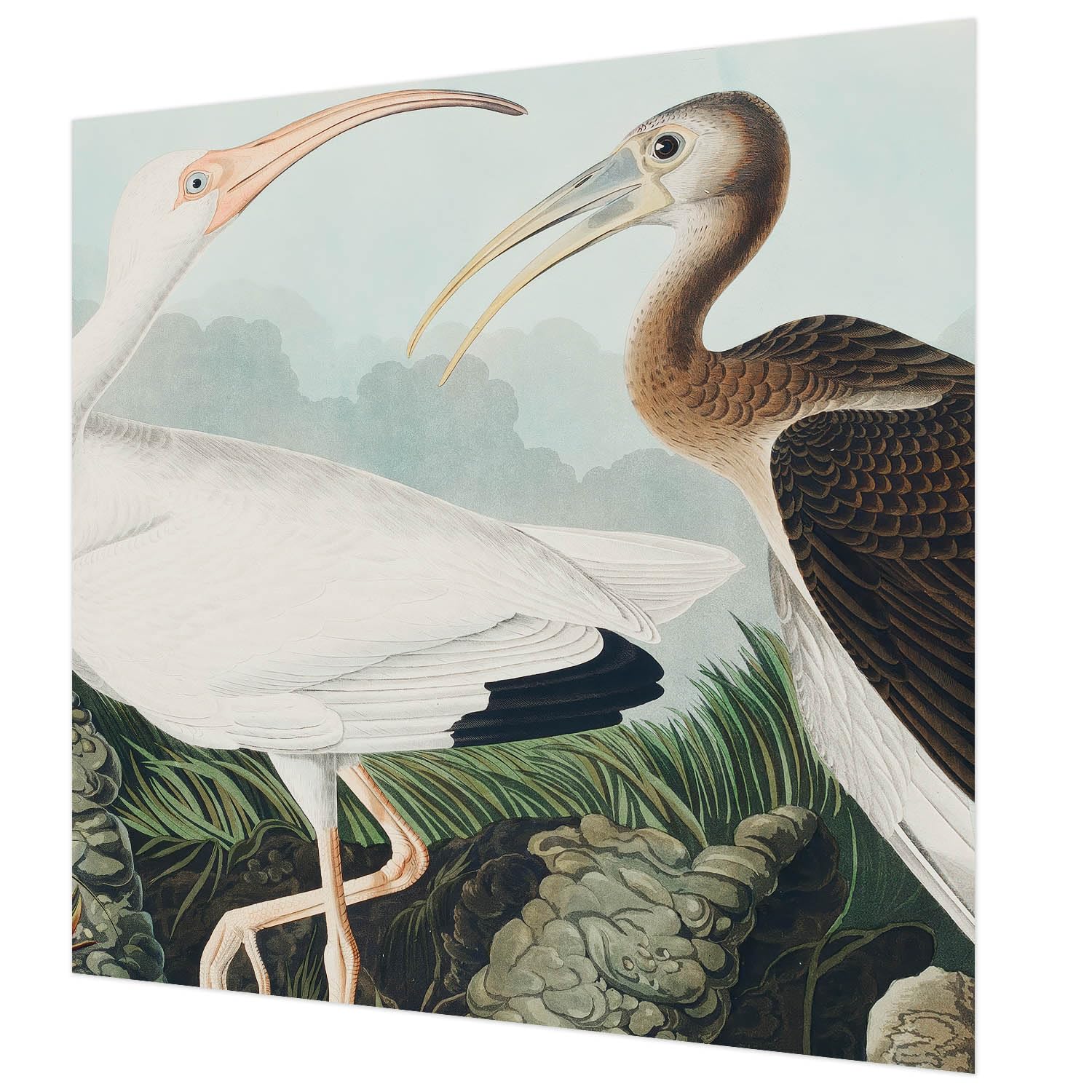 Tapisserie intissée 250x250 cm grand format décoration murale de chambre à coucher oiseaux