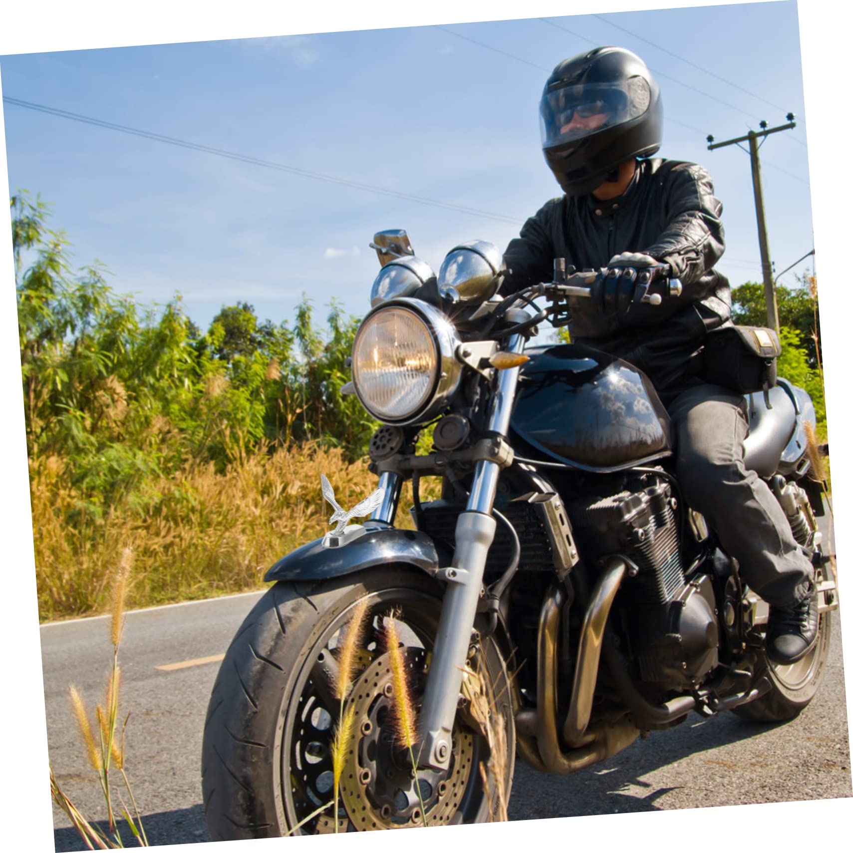 VALICLUD Motorrad-Abzeichen Adler Frontdekoration 3D Metall Emblem Für Universal Motorhauben Verzierung Wetterbeständig Motorradzubehör