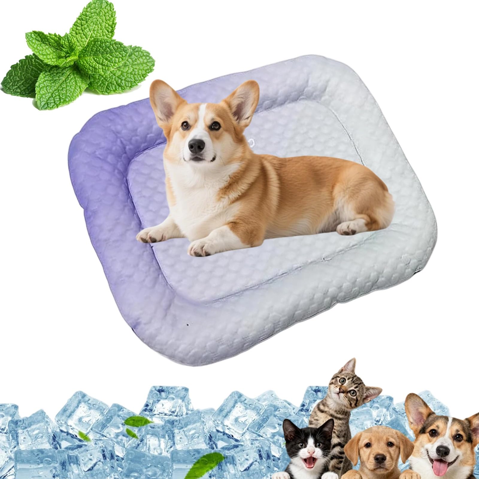 fisiorest Cooling Gel Mat for Pets, Durable Leakproof Pet Cool Mat, Scratch-Resistant Breathable Cooling Pad, for Spuppies Cats Rabbits Hamsters(Purple,M)