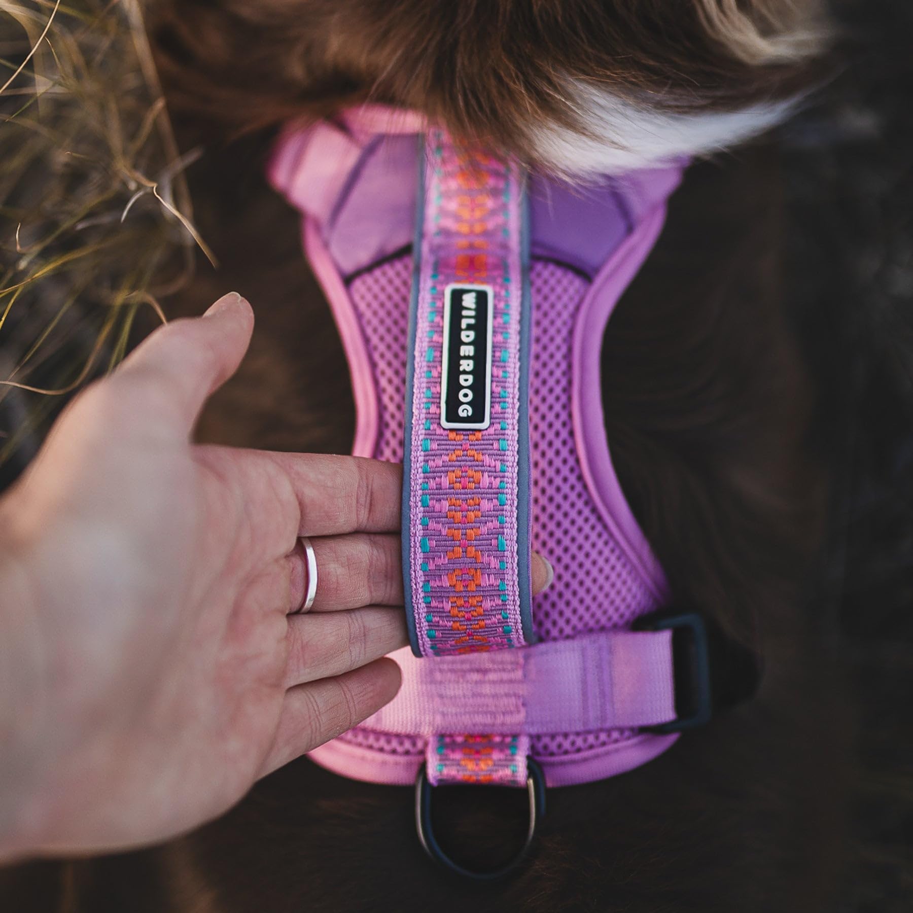 Wilderdog - Arnés ligero para perro con correas reflectantes, pequeño, color lila