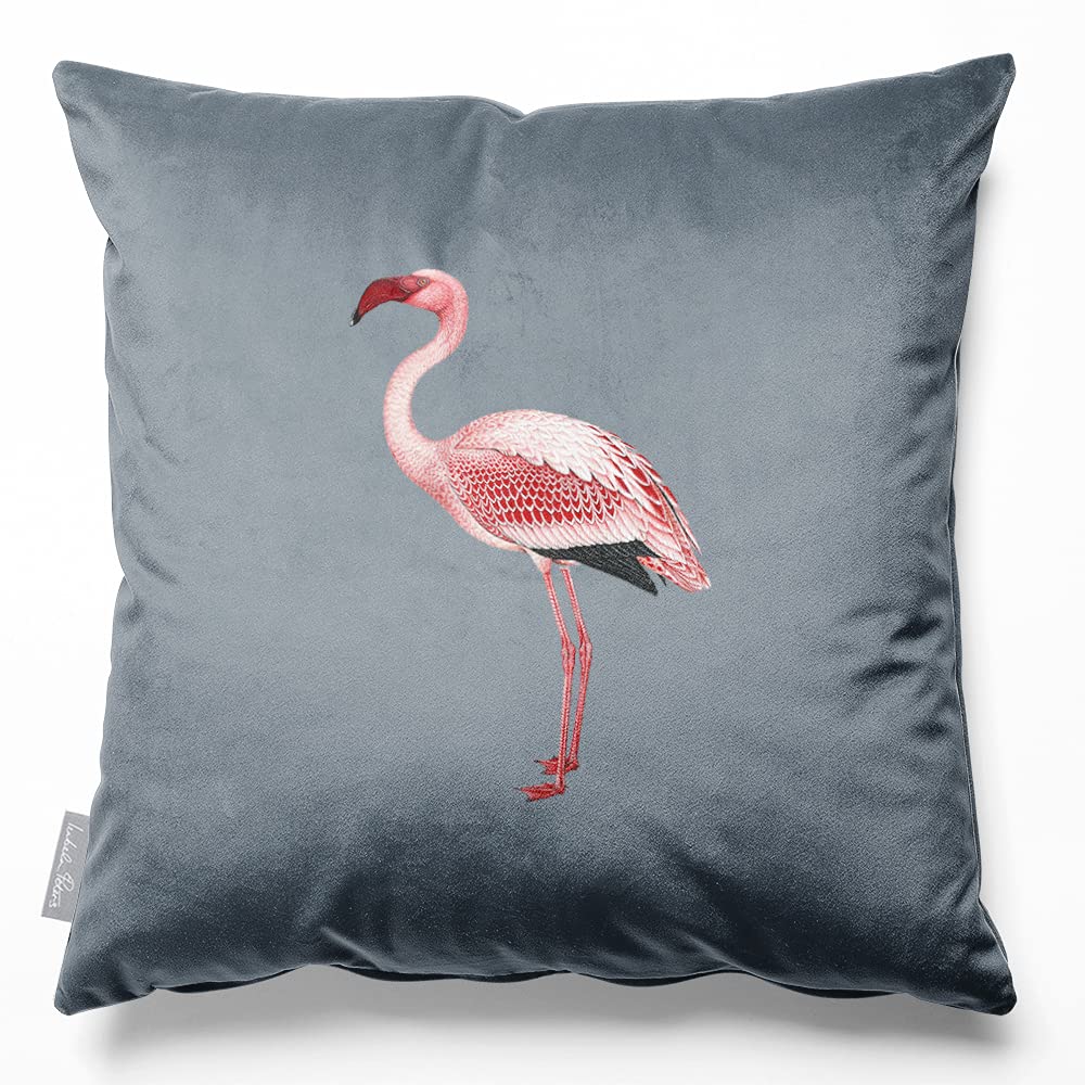Izabela Peters Flamingo - French Grey Eco-Friendly Velvet Cushions With Covers Included, 45 Cm, Chair & Sofa Seat Cushions