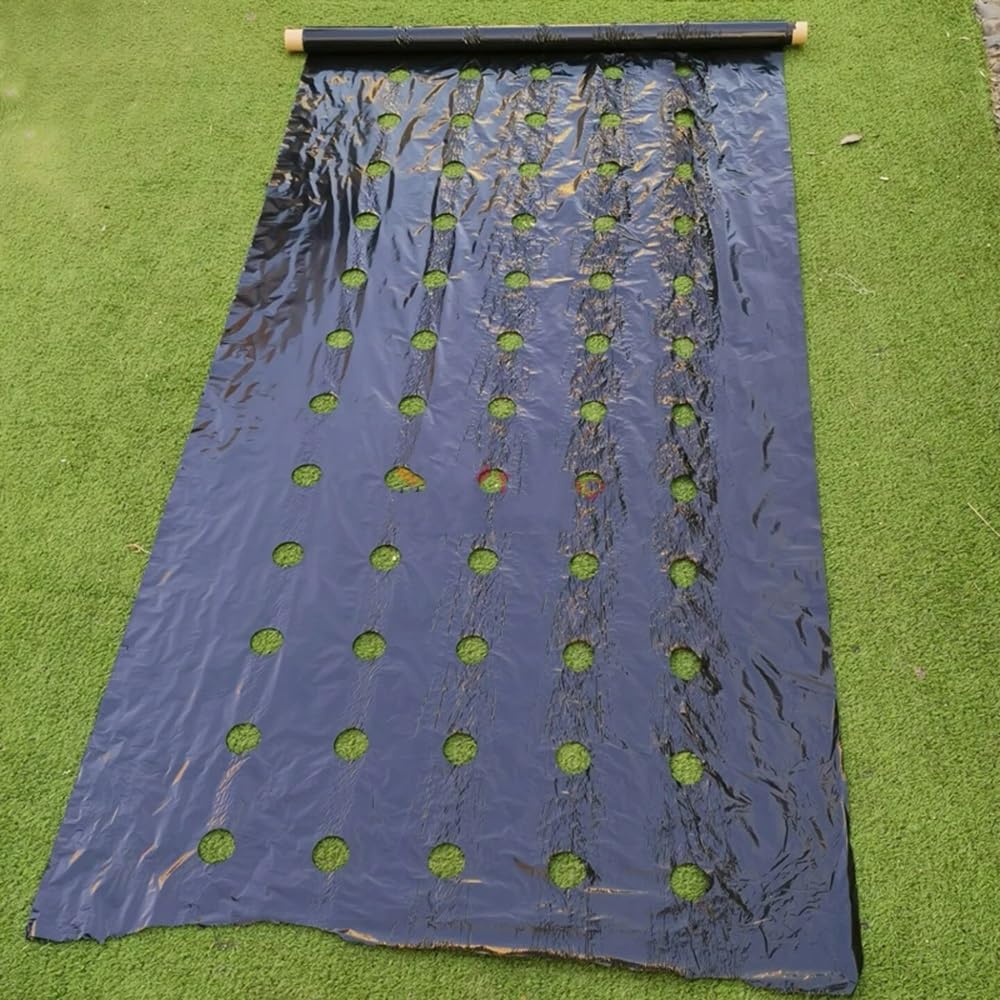 Film, Pacciame Perforato for Il Controllo delle Erbacce Agricoltura Film Allevamento Pacciame Veg Patch for Pomodoro Fragola Crescita Punch Foro da 4,5 Cm (Size : 0.95x40m)