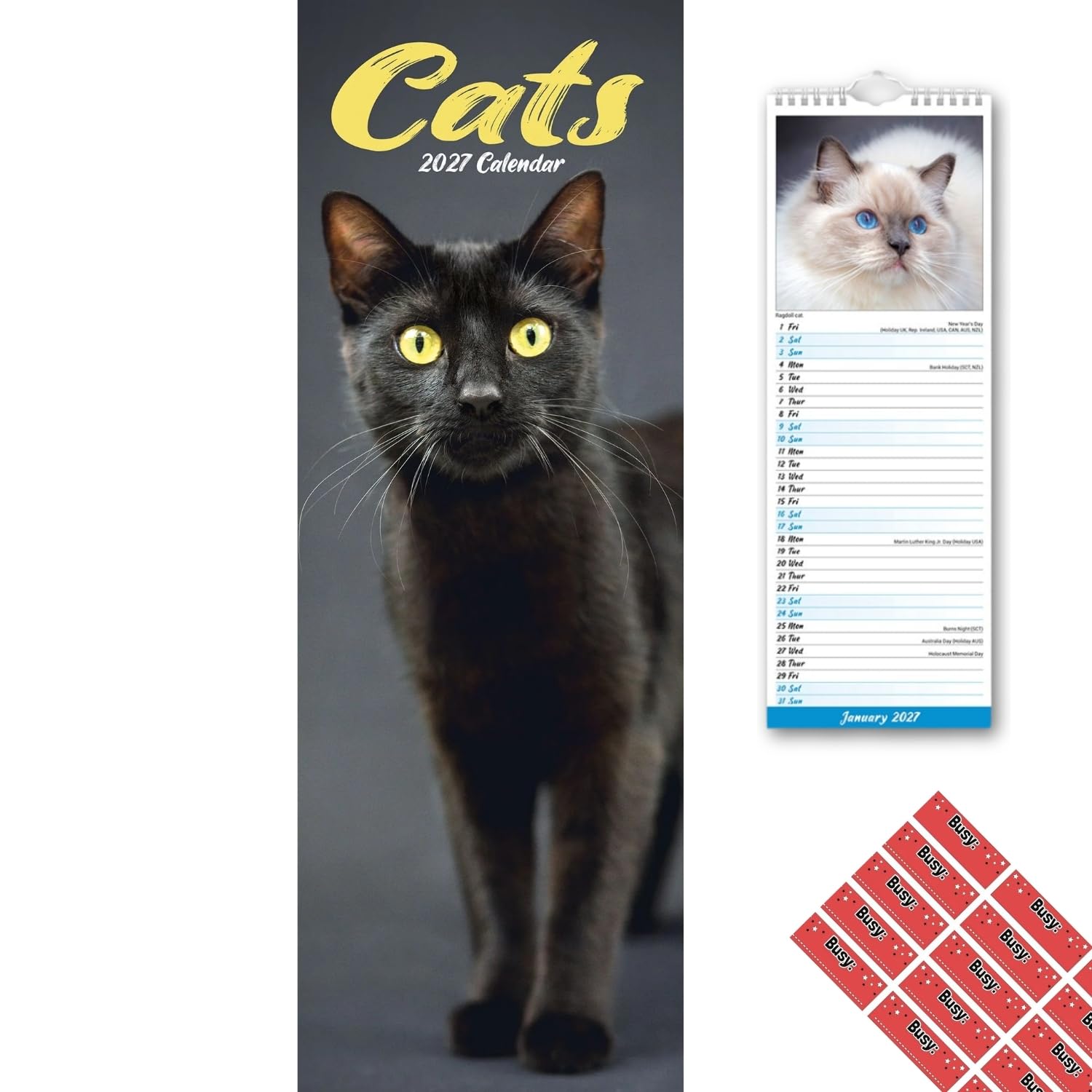 Avonside Cats 2027 Slimline Calendar with Organisational Stickers
