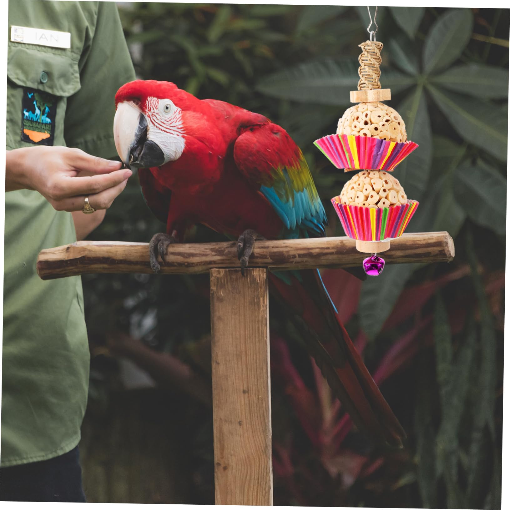 Toddmomy Jouet à Mâcher Suspendu pour Perroquet Accessoire Ludique pour Oiseaux Jouet à Déchiqueter pour Cage à Oiseaux Divertissant Et