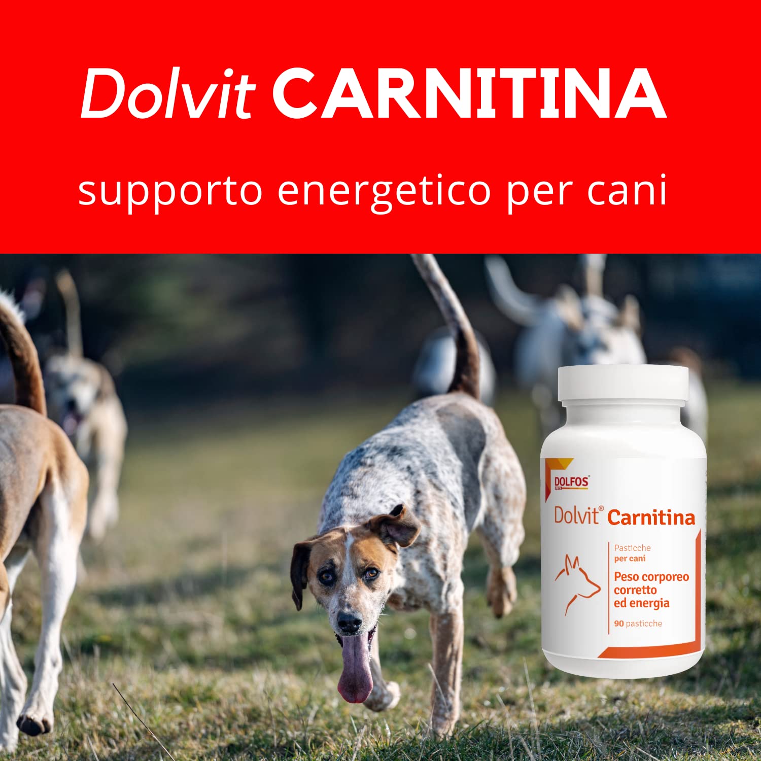 Dolvit Carnitine