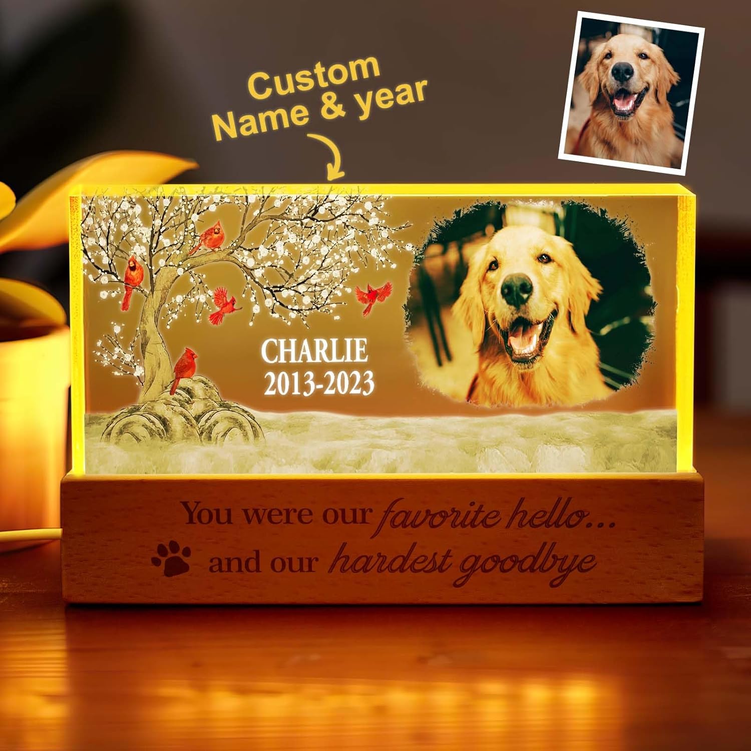 VEELU Custom LED Night Light Personalized Photo Lamp with Date Text 2cm Thick Acrylic Plaque Romantic Gift for Girlfriend, Partner, Loved Ones Unique Memorial Condolence Gift (Remember Beloved Pet)