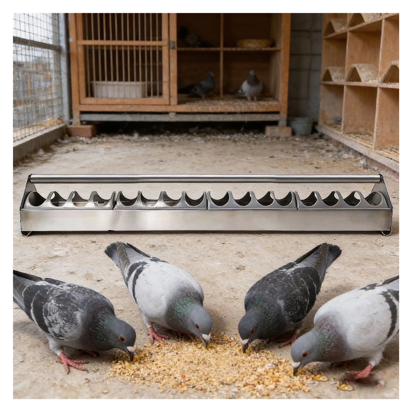 Comedero largo para pájaros, comedero de acero inoxidable con fondo cuadrado para pollitos, patos, loros, con tapa divisora desmontable, uso de doble cara