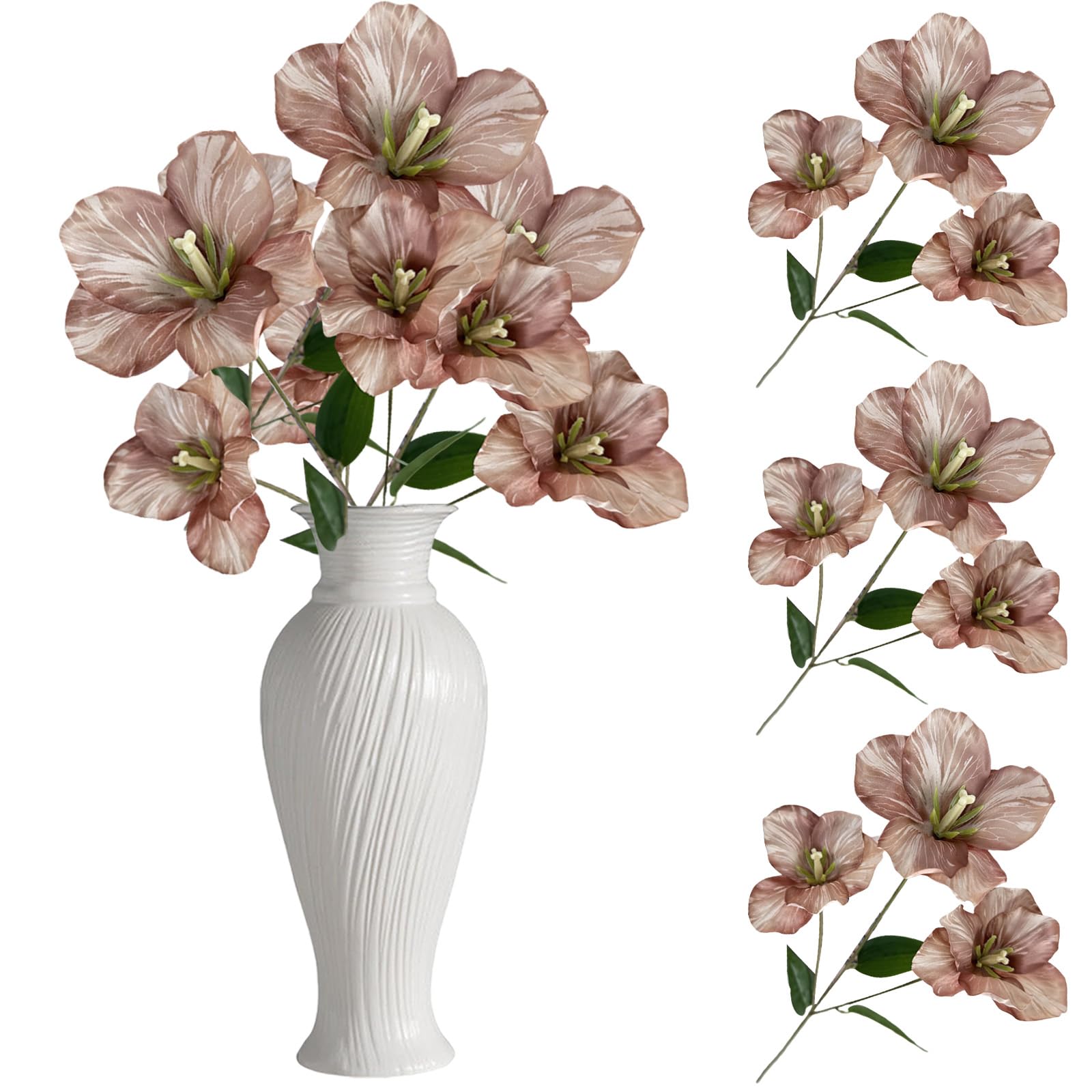 View 6