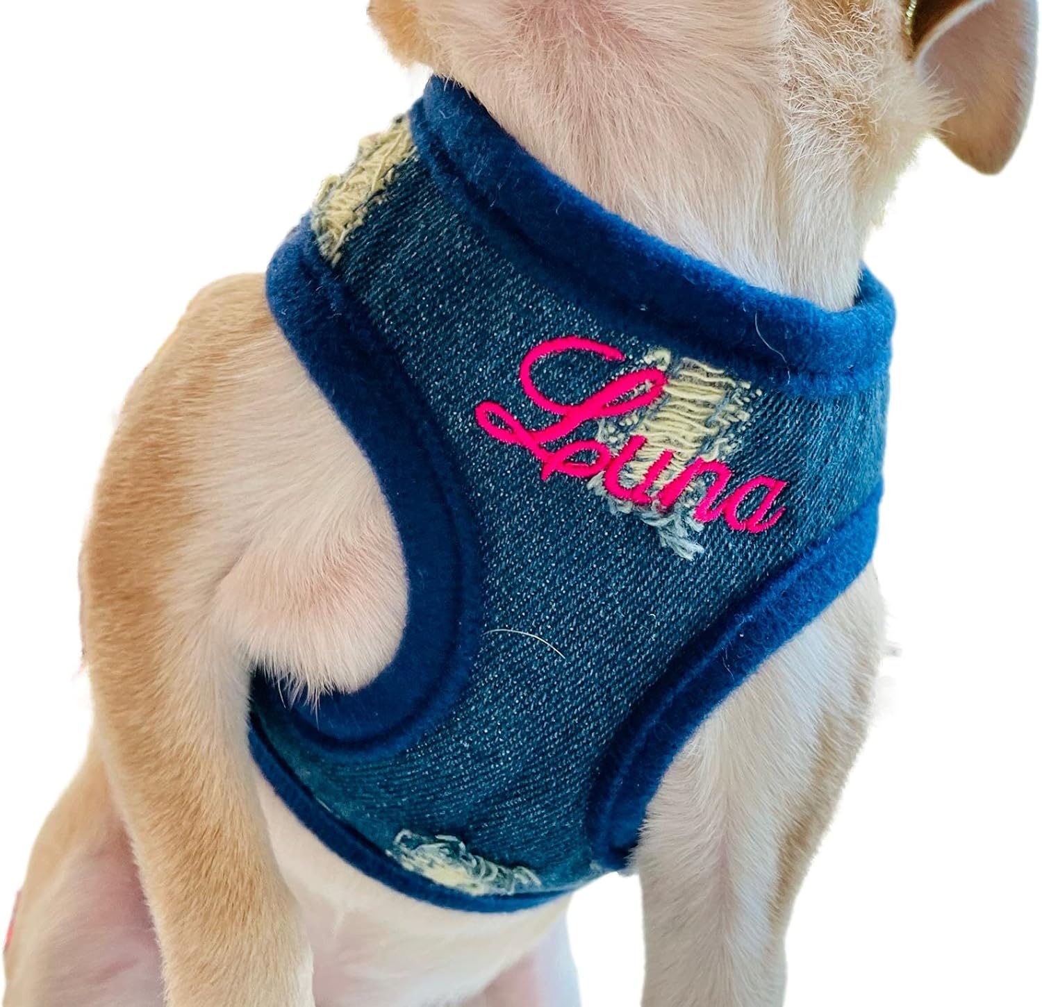 Personalized Dog Harness with Custom Embroidered Name, Adjustable Denim Soft Padded Pet Vest for Small to Large Dogs-No Pull Harnesses, Made in USA…(Small)