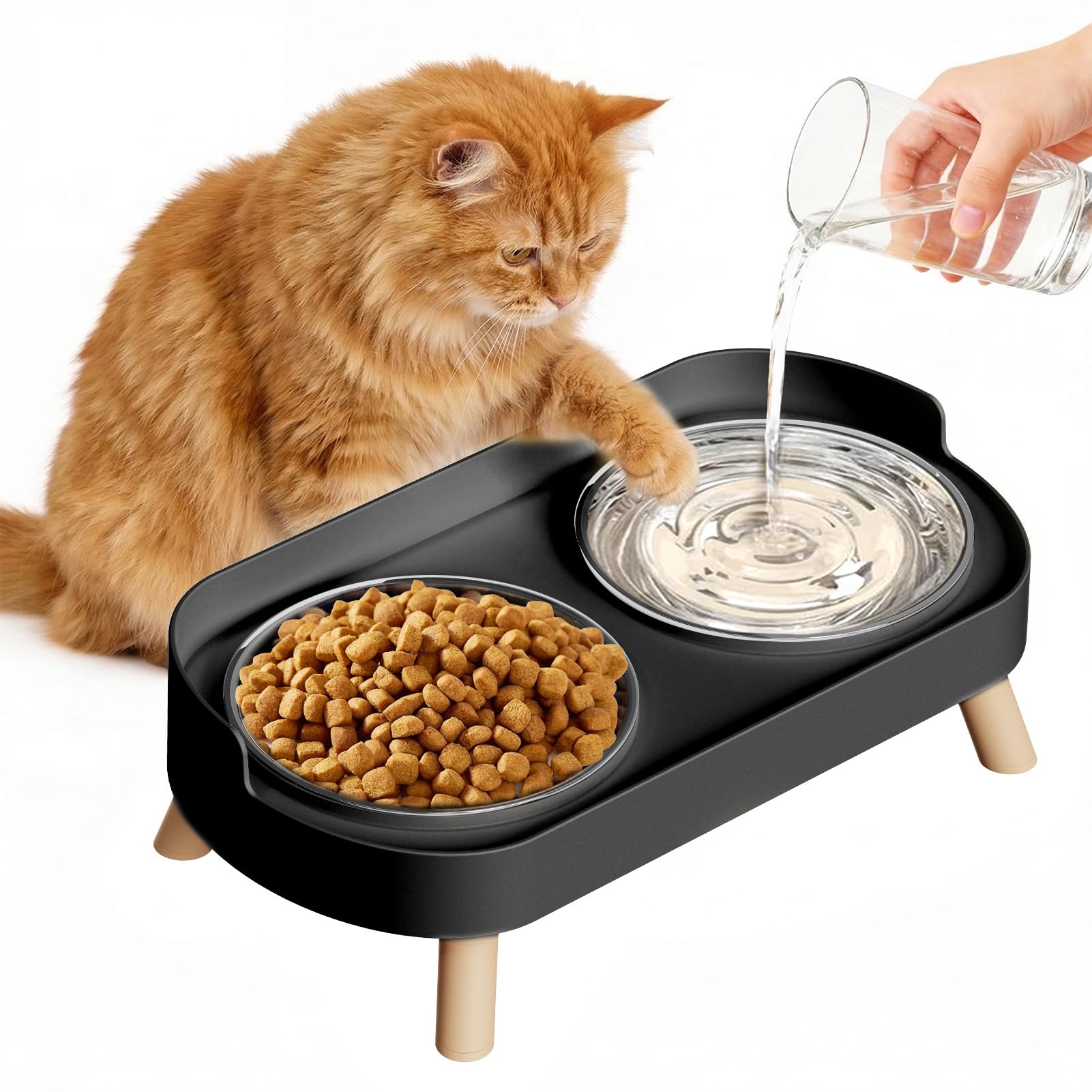fanado Raised Cat Bowls, Elevated Cat Food and Water Bowl Set for Indoor Cats, Splash Proof with 2 Stainless Steel Pet food Bowls for Cats and Puppies, Whisker Fatigue and Dishwasher Safe - Black
