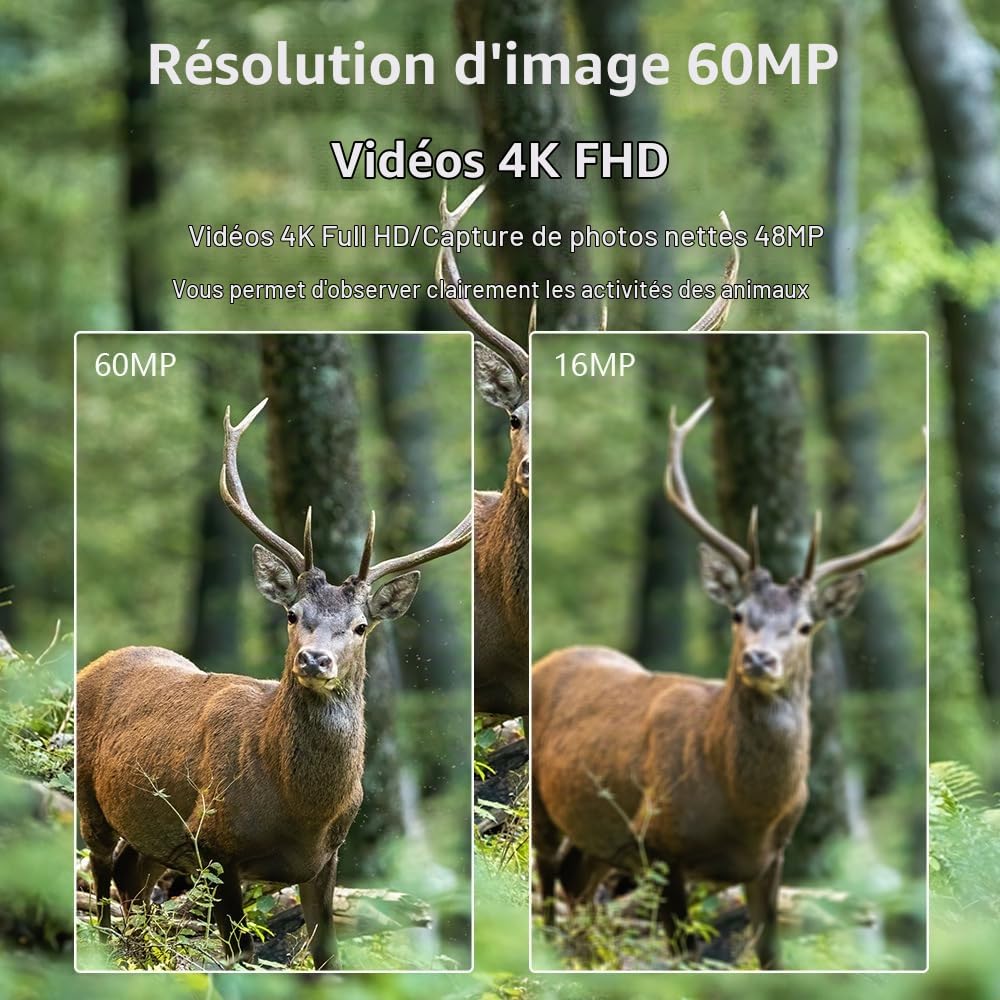 Chasse Caméra 4K/1680P 60MP Full HD avec Carte SD 32GB | Infrarouge Vision Nocturne Animaux | Piège Photographique Étanche Suiveuse Exterieur Traque IR - Caméra de Chasse