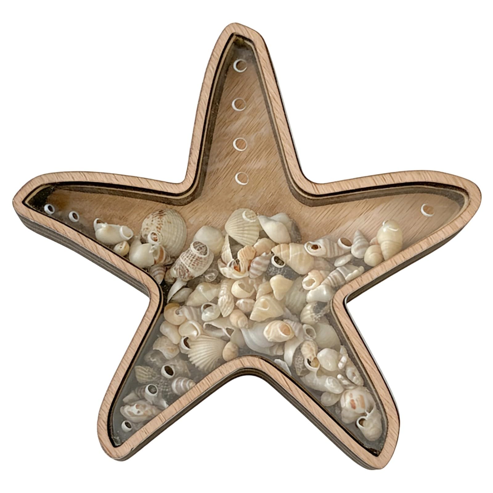 Our Fave A Seashells Holders Seashells Display Box Wood Starfishs Shell Display Case With Clear Crylic Window Coastal Homes Decors Holders Box
