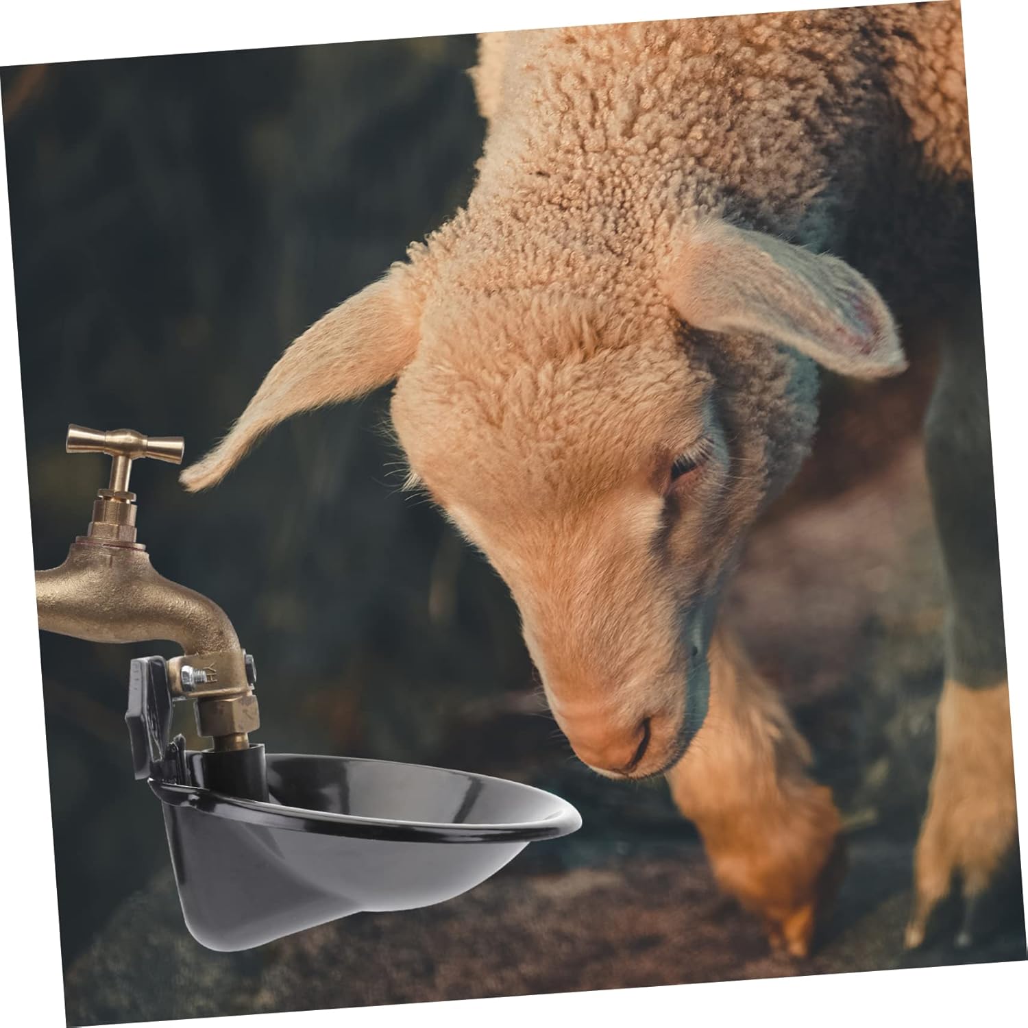 Generic Sheep Feeder Automatic Water Feeder Horse Pet Water Dispenser Pet Automatic Outlet Bowl Horse Cattle er Goat Animal Trough Goats er Black