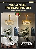 Vista 6 de FookChak Ventilador de techo enjaulado con control remoto, moderno ventilador de techo de jaula dorada con luz sin aspas para sala de estar