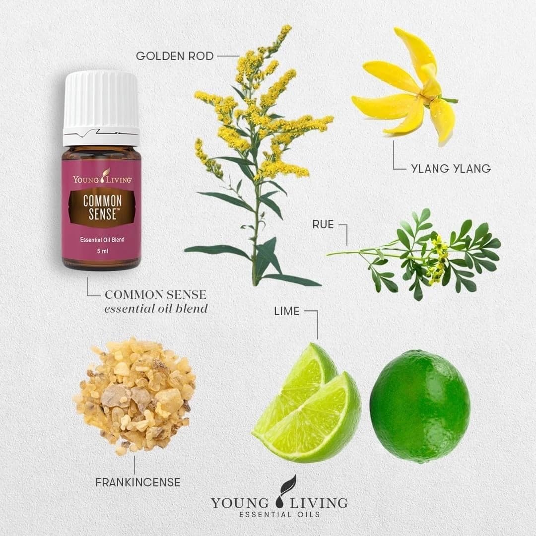 Young Living Common Sense Essential Oil - 5ml - Perfect for Diffusing During Meditation - Aroma for Mental Clarity and Focus - Frankincense and Ylang Ylang Blend