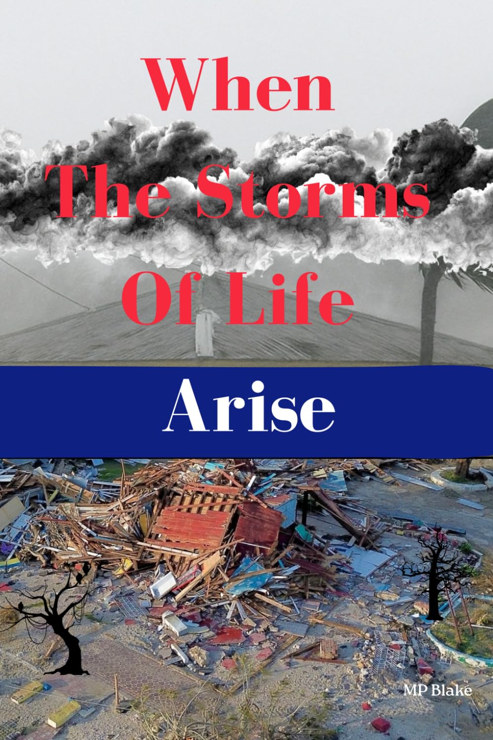 When The Storms of Life Arise