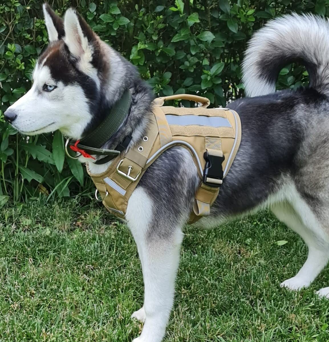 Imbracatura tattica SK9 per cane + 2 zaini - Imbracatura professionale in tessuto molto resistente, con fibbie in metallo (L (70-90 cm))
