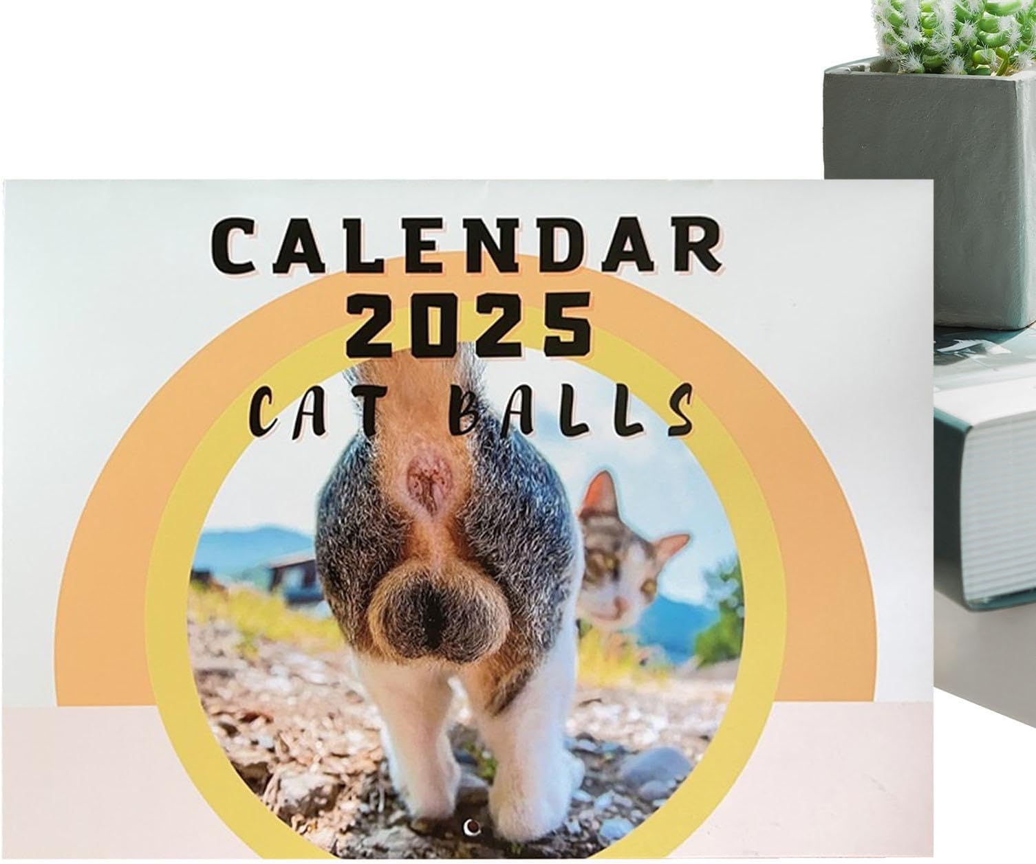 FANGZ Cat Butthole Calendar - Cute Cat Calendar 2025 Add Your Notes - Funny Cat Calendar With High-end Printing For Gag, Special Celebrations