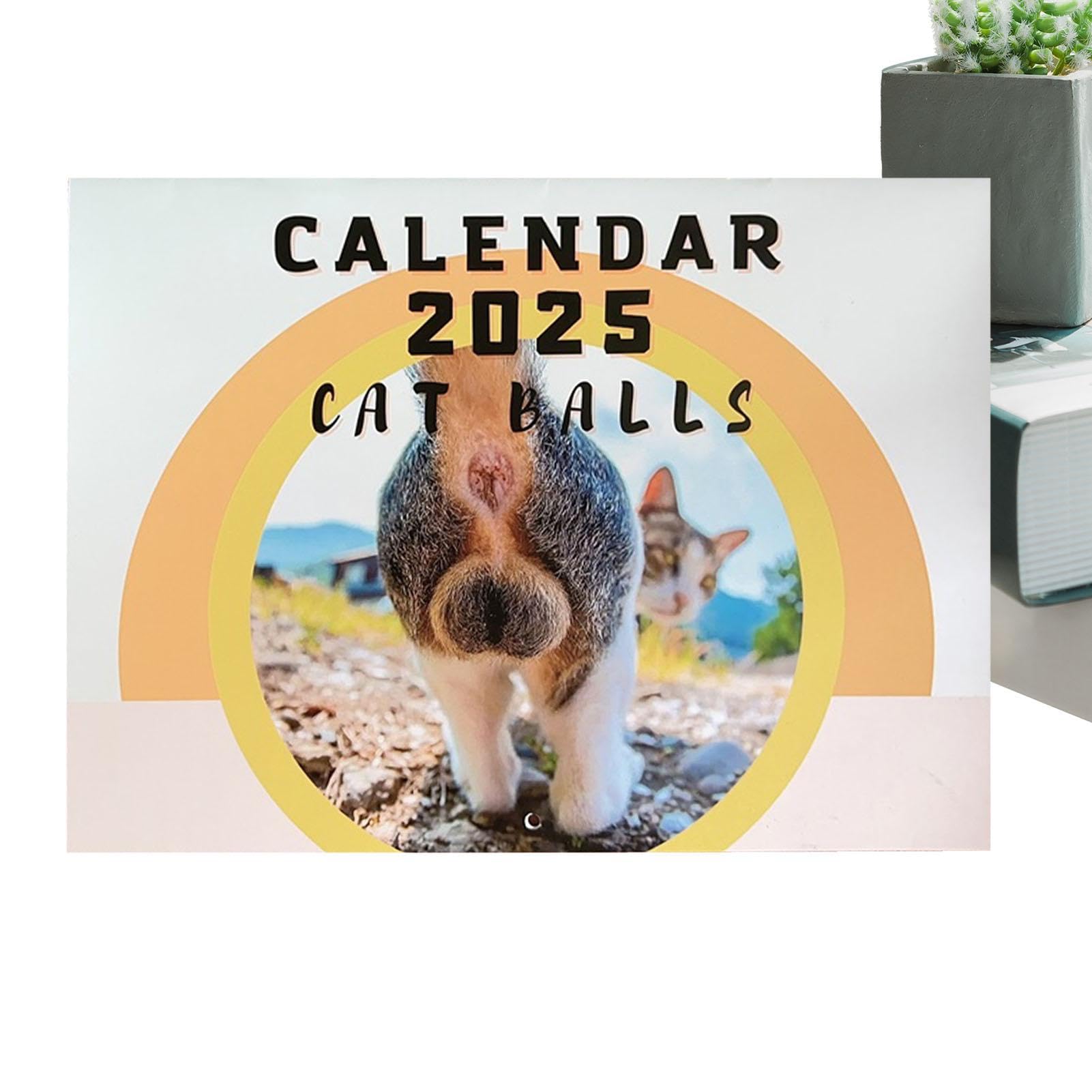 Cat Butthole Calendar 2025-12 Month Cat Balls Calendar With Blank Room For Notes, Family Twin-Wire Bound Month Planner, 2025 Funny Cat Balls Wall Hanging Calendar For Home, Living Room