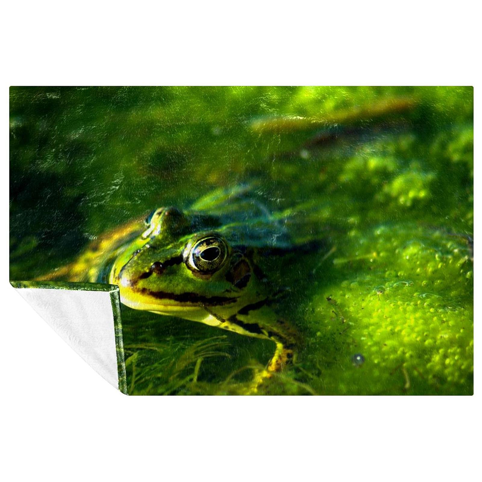 Couverture grenouille douce, idée cadeau originale pour lit enfant