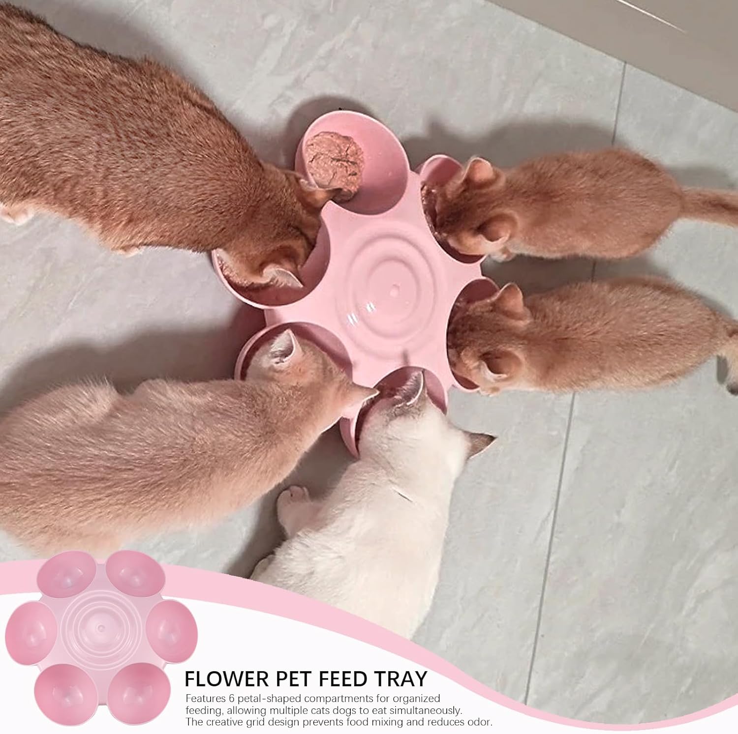 DOERDO Cat Feeding Bowl, Plastic Cat and Dog Food Bowl with 6 Bowls, Multiple Pet Dinner Feeder for Indoor Food and Water, Pink