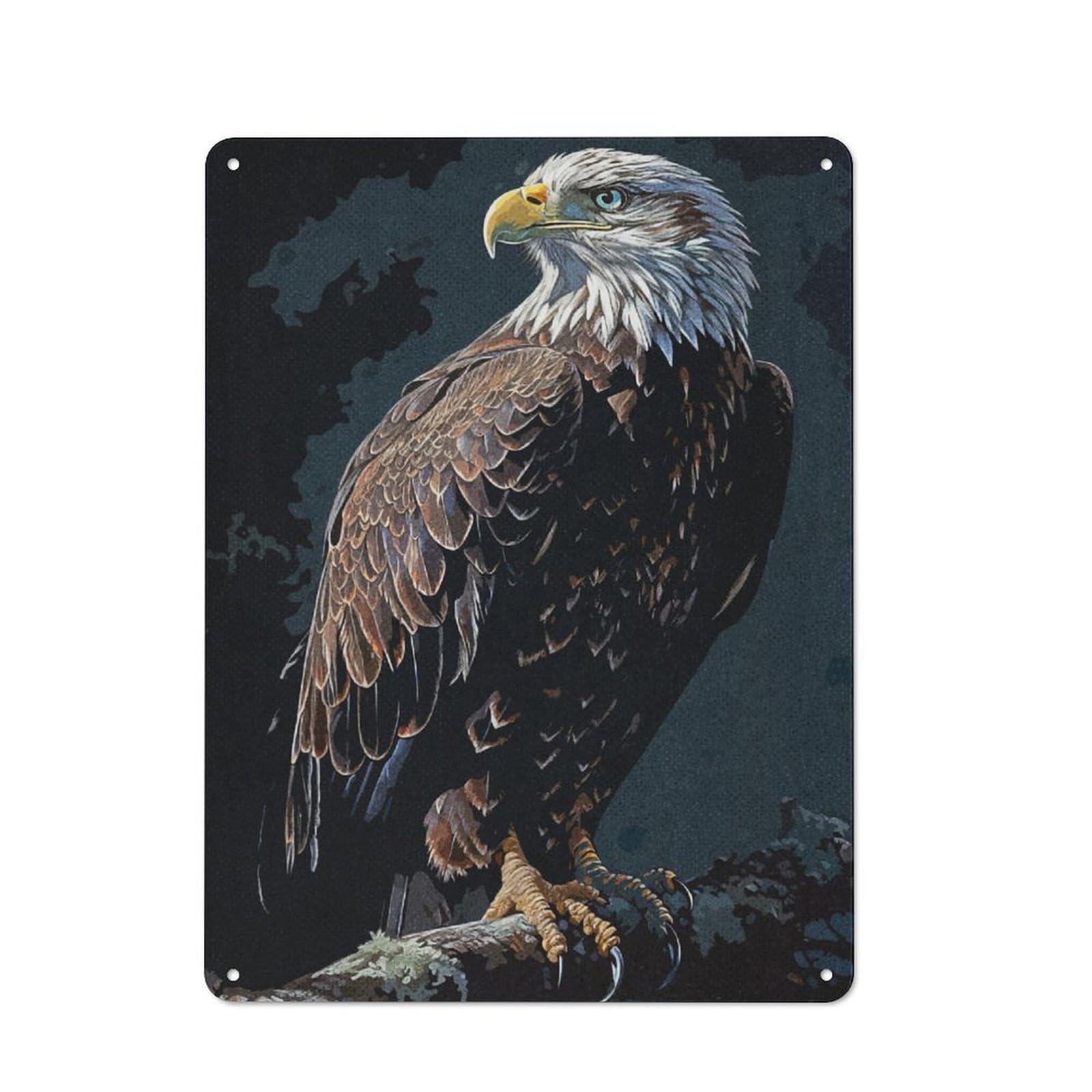 Junmoney Vintage Eagle Metal Plaque 40X30cm With For Garage Wall, Vintage Decor, Autumn Home Decor For Collectors Of Metal Signs