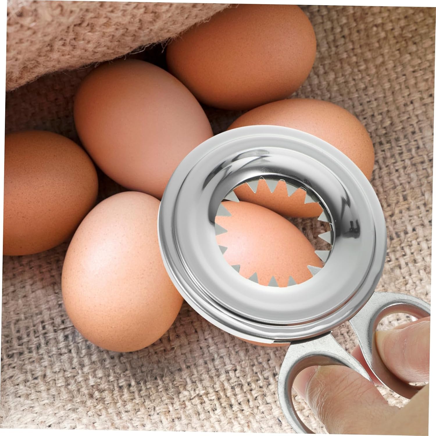 Stainless Steel Egg Shell Topper Cutter Separator Tool for Kitchen Use
