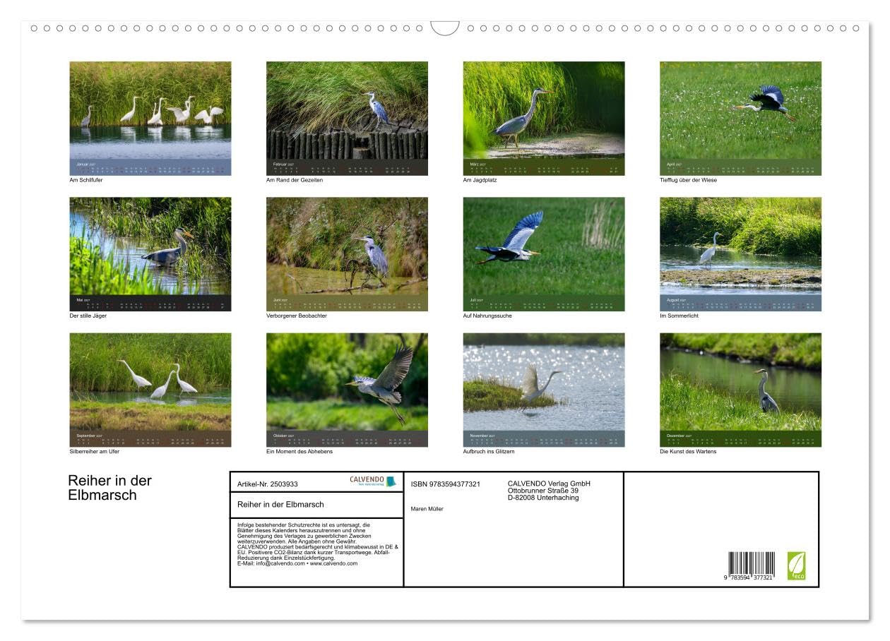 CALVENDO · Reiher in der Elbmarsch (Kalender 2027) | DIN A2 Querformat · Wandkalender · Naturparadies Elbmarsch