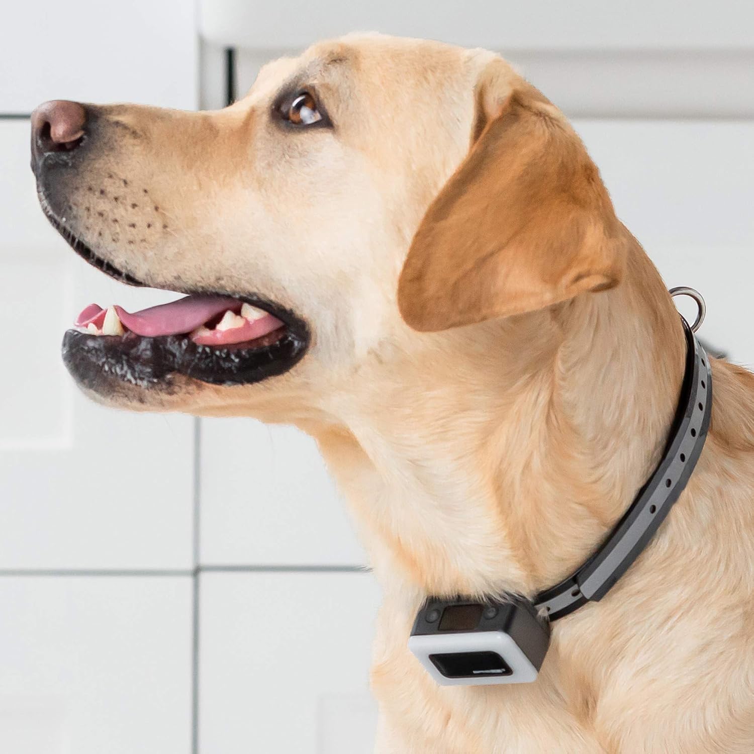 BRISON Dog Bark Collar - 3 Modes Beep Vibration - Rechargeable Waterproof Anti Bark Collar for Small Medium and Large Dogs (Black)