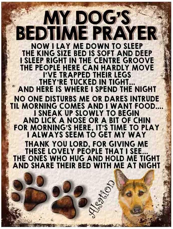 MY DOG'S BEDTIME PRAYER RETRO STYLE METAL TIN SIGN/PLAQUE DOG BREEDS (Alsation Dog), 8" x 6"