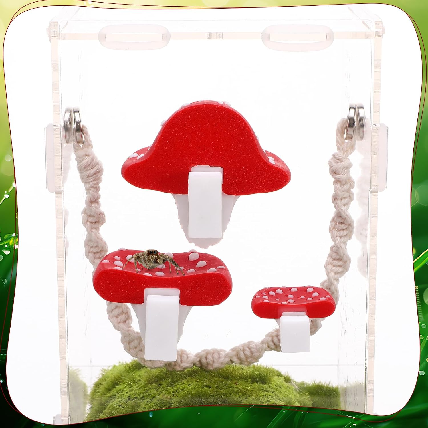 Jumping Spider Enclosure Accessories, 5 Pcs Magnetic Mushroom image 3