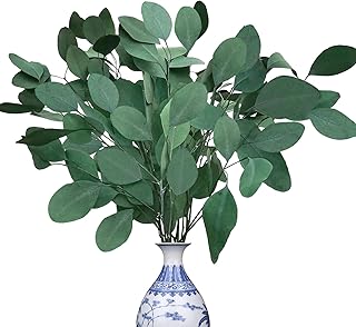 Sponsored Ad - Dried Preserved Real Eucalyptus Stems, 7-10 Pcs Natural Silver Dollar Seeded Eucalyptus Leaves Branches for...