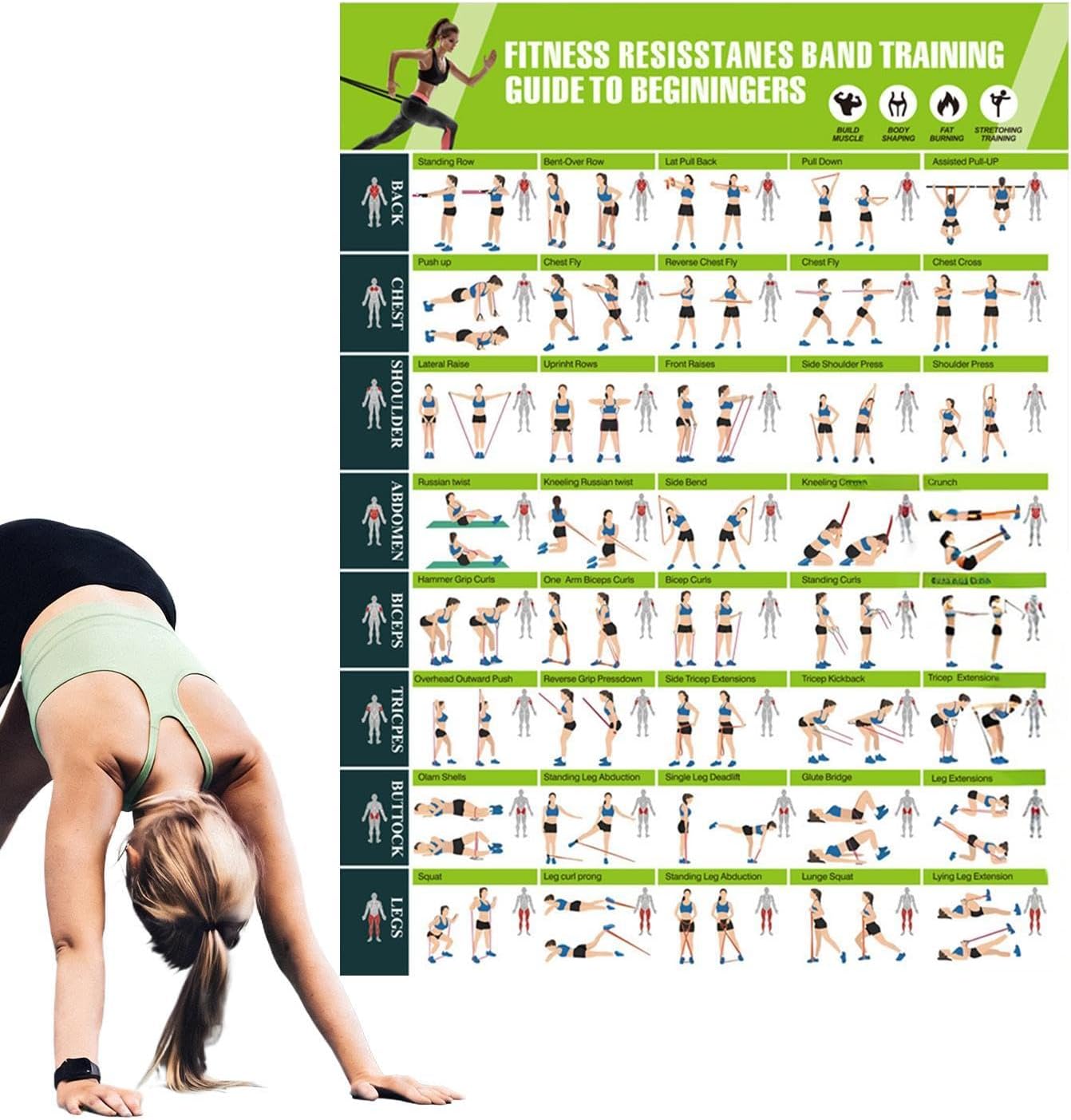 Plakaty Siłowniane 42,7x57,4 cm Fitness Oporowe Przewodnik Rozciągania | Dekoracja Pokoju Do Ćwiczeń Dla Rodziny, Początkujących, Sportowców, Kulturystów,