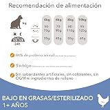 Ver la foto 5