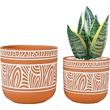4,6 + 6 in  Terracotta Etli Saks  Pi mi  Toprak Saks lar 2'li Drenajl  Kil Saks lar