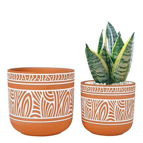 4.6 + 6 Inch Terracotta Succulent Planter Pots Terra Cotta
