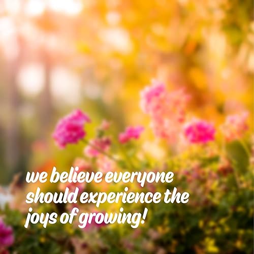 Miniatura 4 de Mezcla de flores orgánicas para cortar ramos, paquete de 0.18 oz  más de 1,000 semillas, 6 variedades para atraer mariposas, abejas y otros