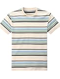 Funny World Men's Cotton Striped T-Shirt Crew Neck Short Sleeves Basic Casual Top