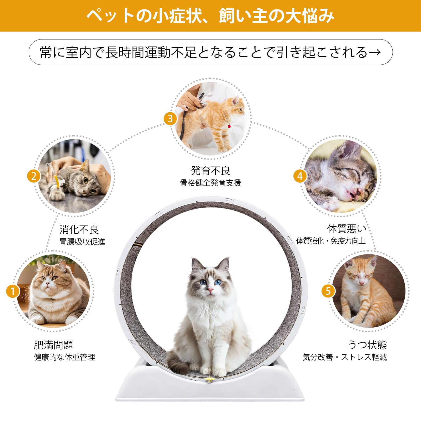 キャットホイール 大型猫用ランニングホイール 運動不足解消 ストレス緩和 猫運動 Amazon | キャットホイール 猫 キャットホイール 静音 猫 運動