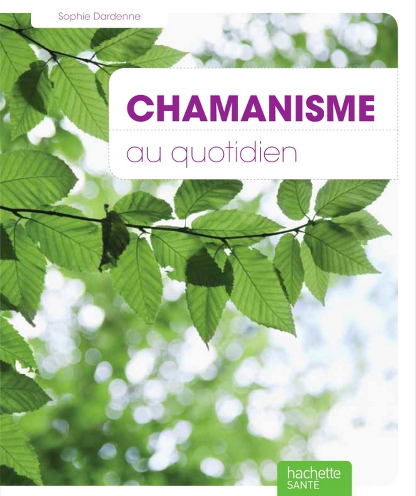 Chamanisme (Pratiques Hachette - Sant) (French Edition)